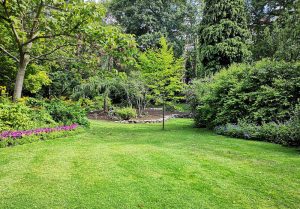 Optimiser l'expérience du jardin à Rechicourt-le-Chateau